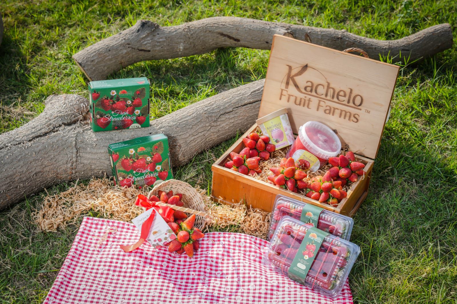 Kachelo Fruit Farms - Strawberries Pakistan (1)