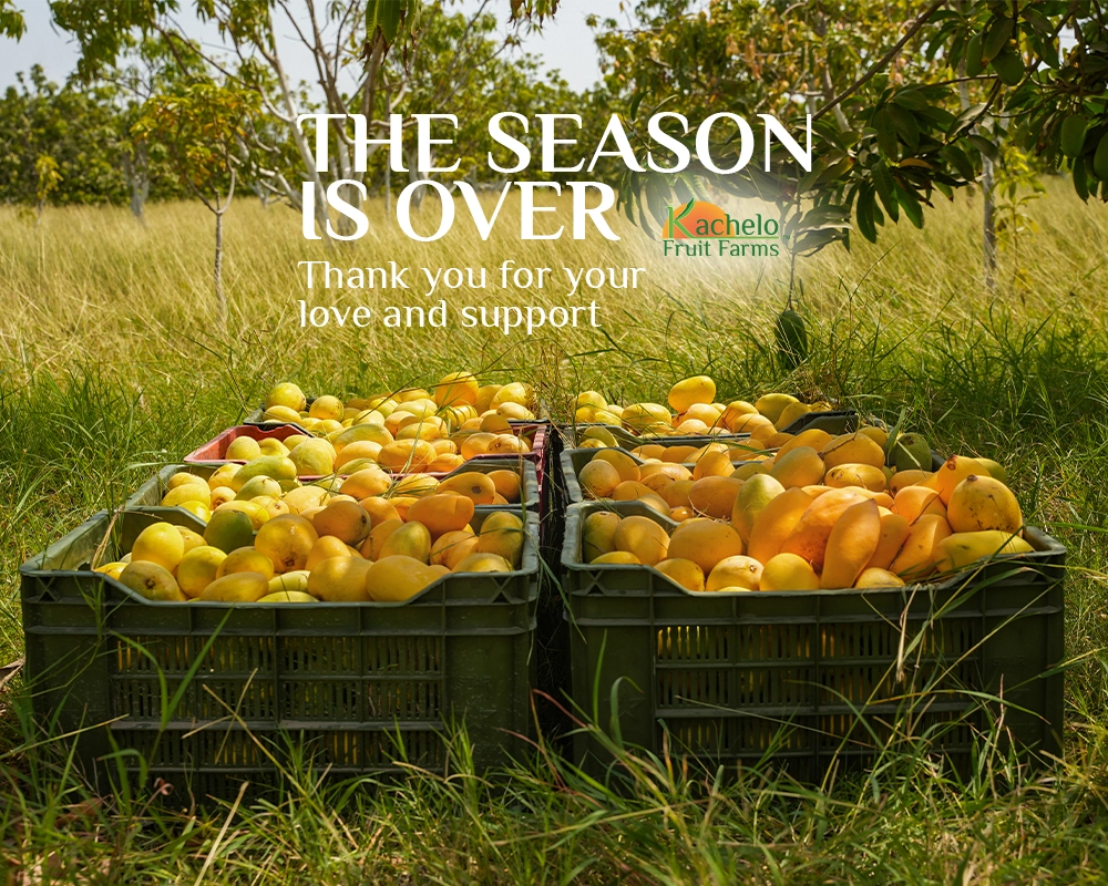 season-end-mobile-website-banner